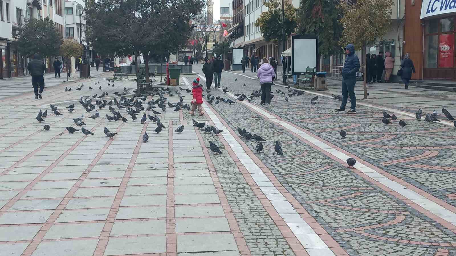 edirnede dondurucu soguk edirneliler evde bulgarlar magazalarda 0 mk1OIvqH