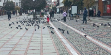 edirnede-dondurucu-soguk-edirneliler-evde-bulgarlar-magazalarda-aIjaZM8I.jpg
