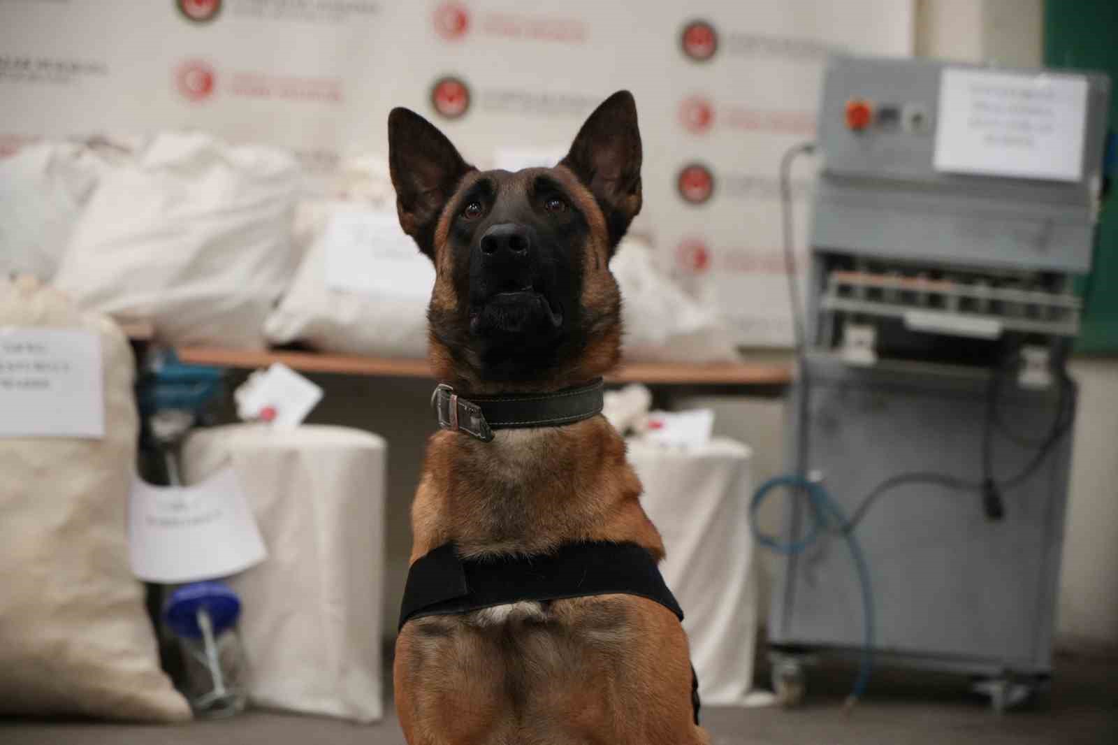 edirnede evini uyusturucu imalathanesine cevirmis operasyonda 117 kilo uyusturucu ele gecirildi 4