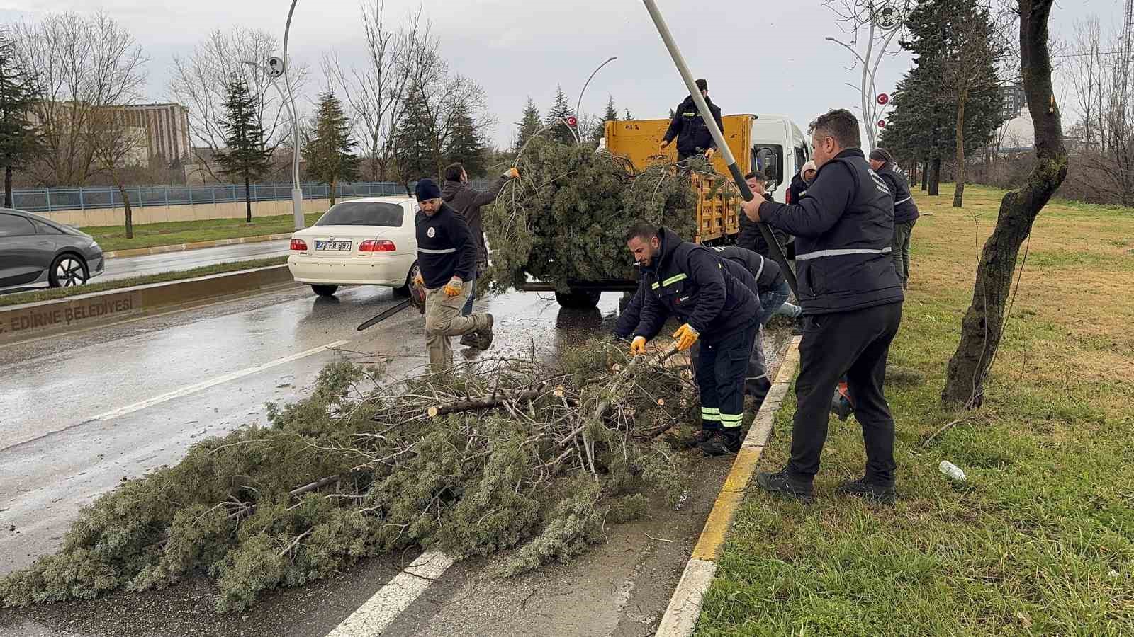 edirnede firtina agaclari devirdi 1 TUAjTMHa