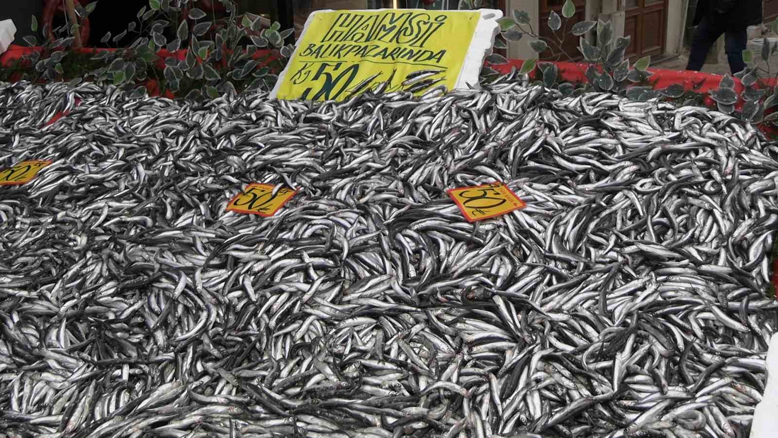 edirnede hamsinin kilosu 50 liraya dustu tezgahlar senlendi 4 f6Qu3u3B