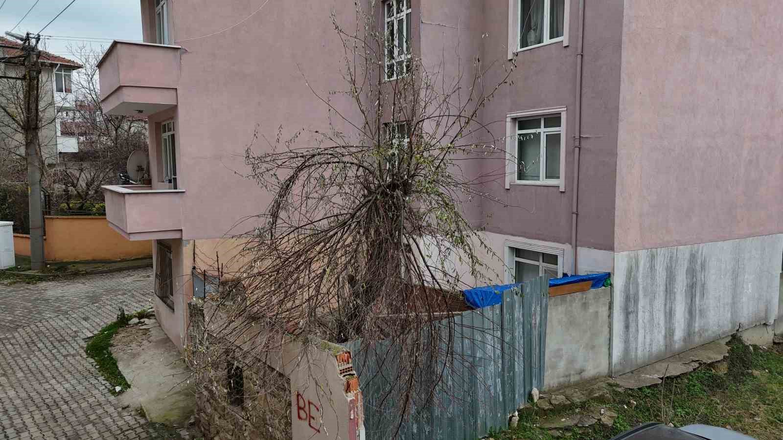 edirnede ilginc manzara osmanli donemi kabri apartman bahcesinde kaldi 3 cT3sqcqm