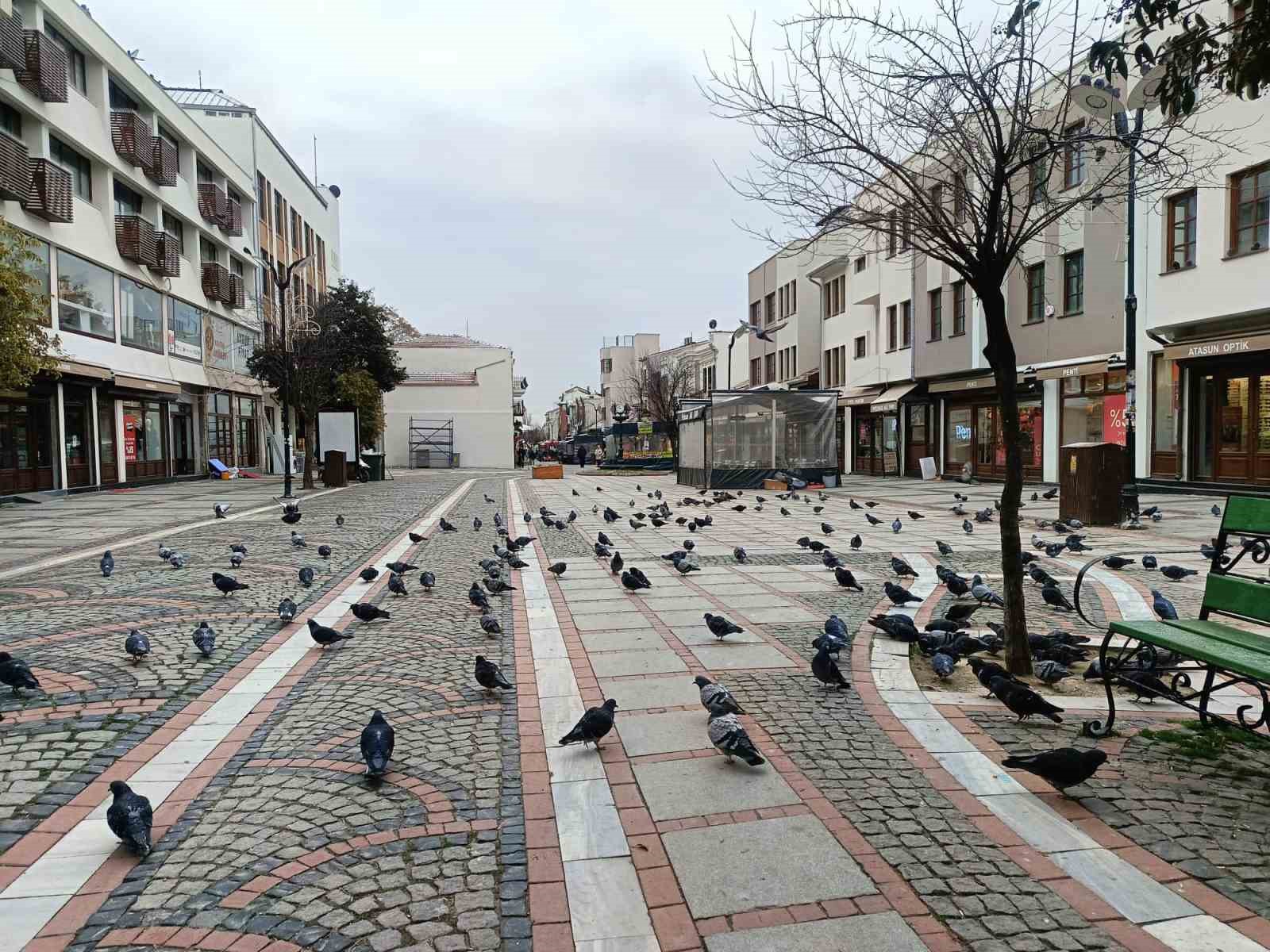 edirnede kar gitti ayaz geldi pandemi gunlerini aratmayan sessizlik 0 BgnRrIlA