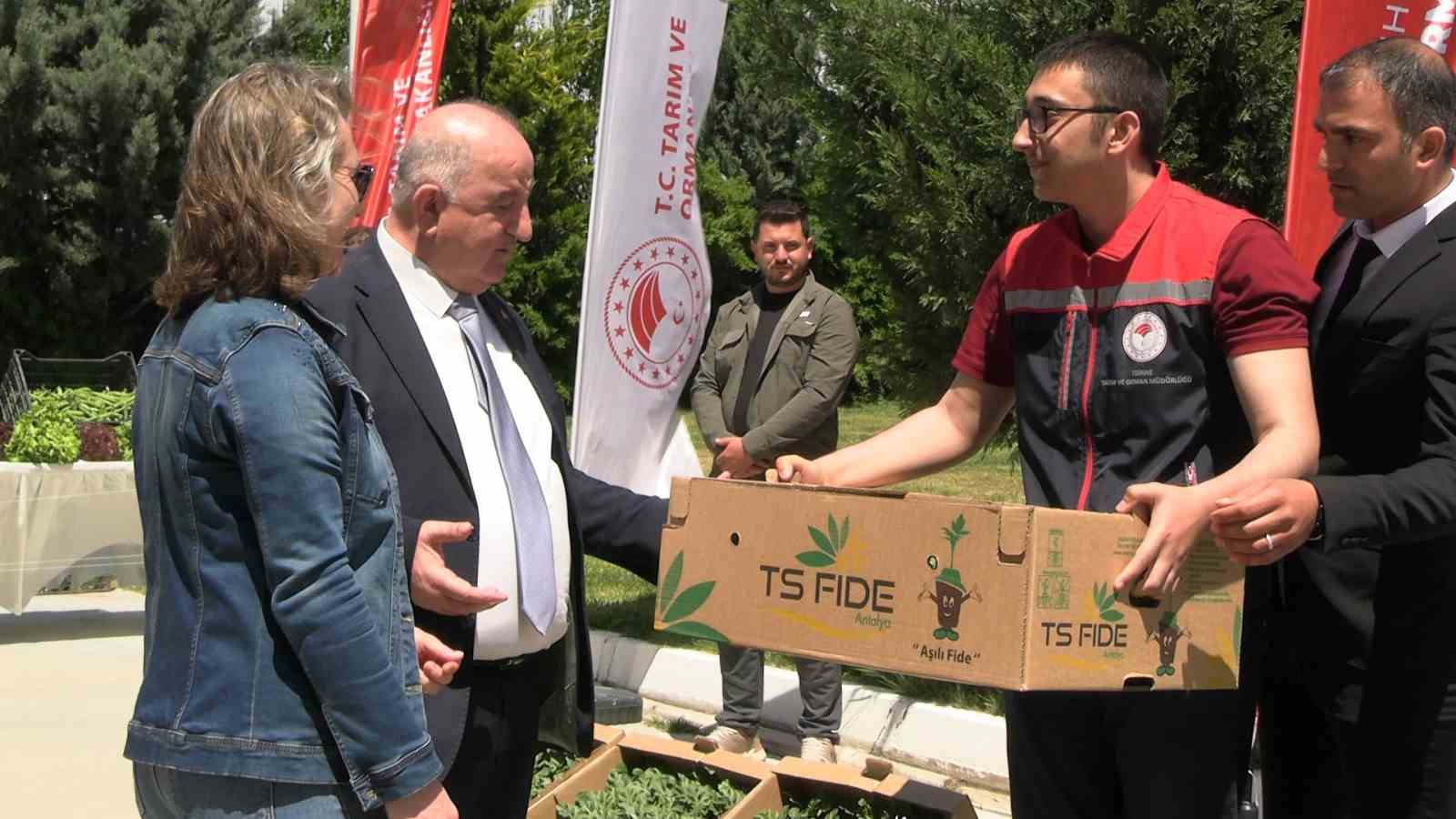 edirnede karpuz fideleri ureticiyle bulustu 63 ciftciye 60 bin fide dagitildi 4 WT9szBaq