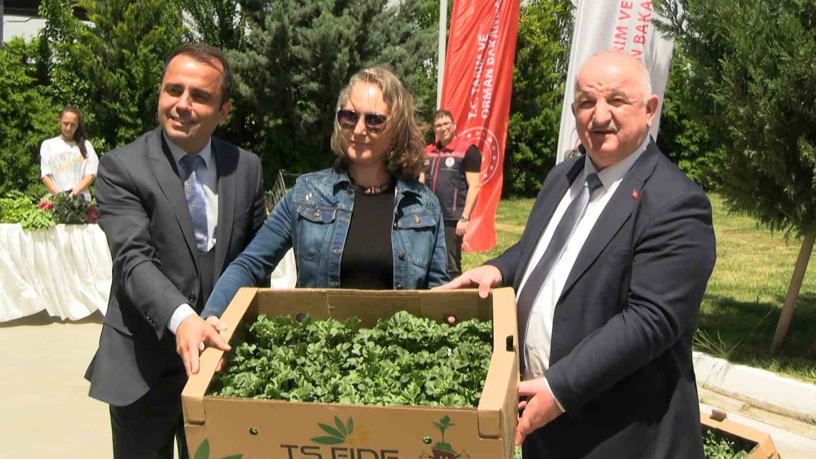 edirnede karpuz fideleri ureticiyle bulustu 63 ciftciye 60 bin fide dagitildi 5 5yGRPWy1
