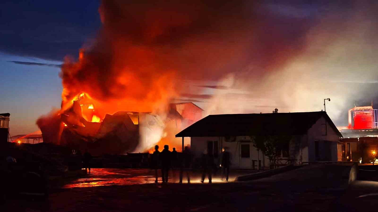 edirnede kereste fabrikasinda yangin 3 qFsG66Uy