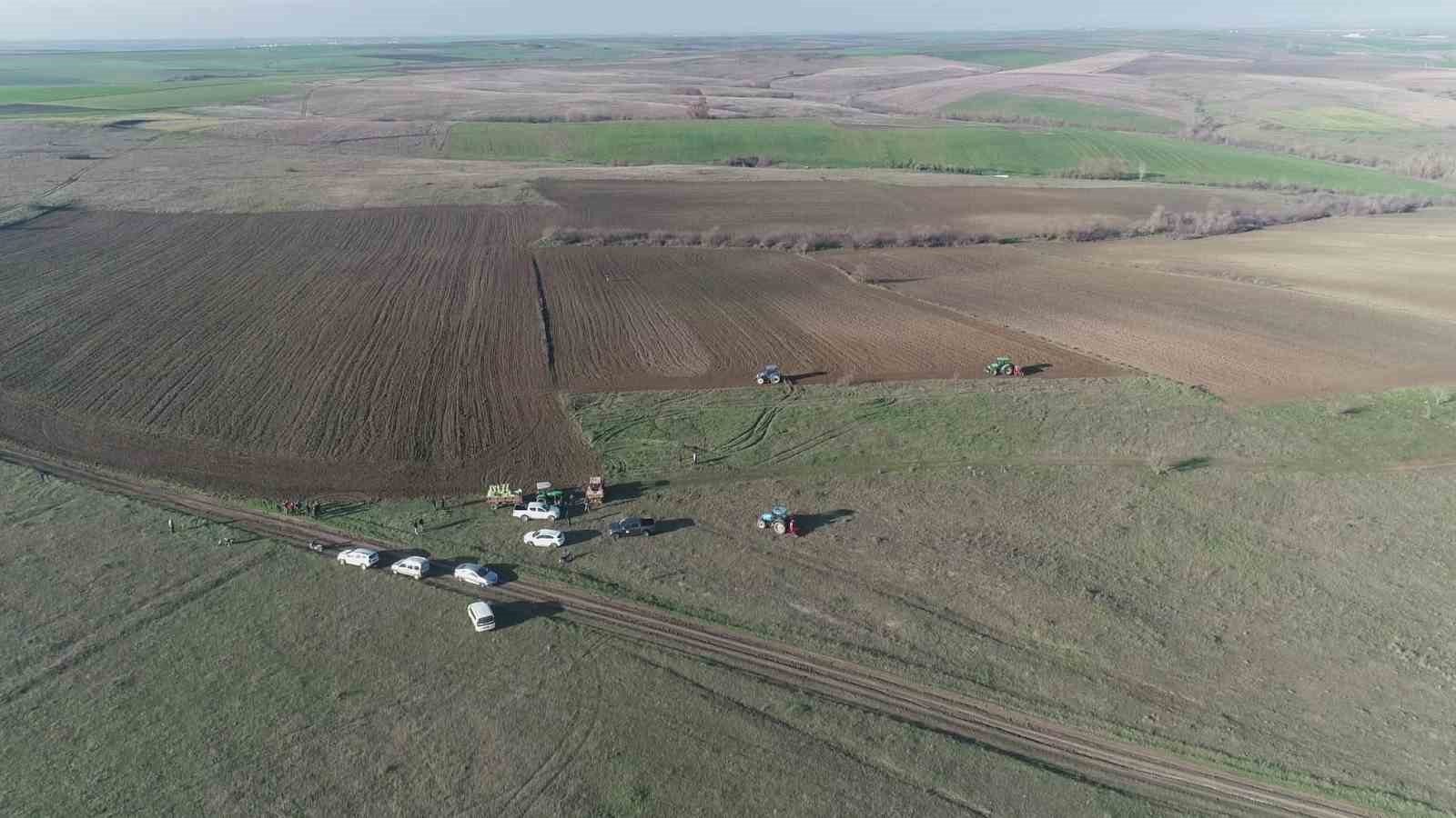 edirnede mera islah projeleri ile hayvanciliga destek 1 8wX1YF59