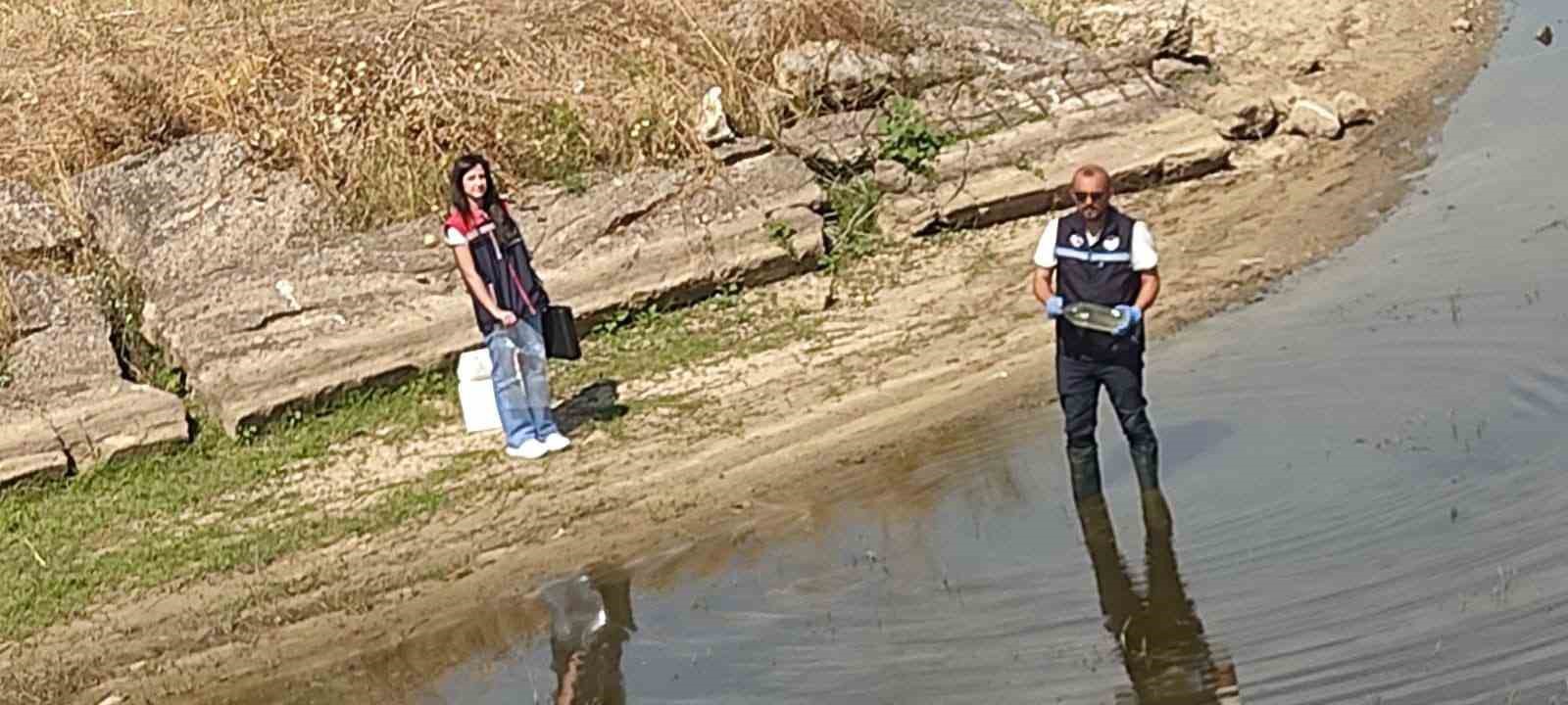 edirnede toplu balik olumlerinin yasandigi goletten numune alindi 1 tHLJN7YD