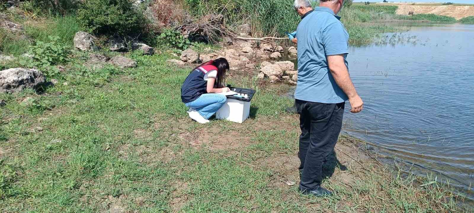 edirnede toplu balik olumlerinin yasandigi goletten numune alindi 3 gmNdzN49