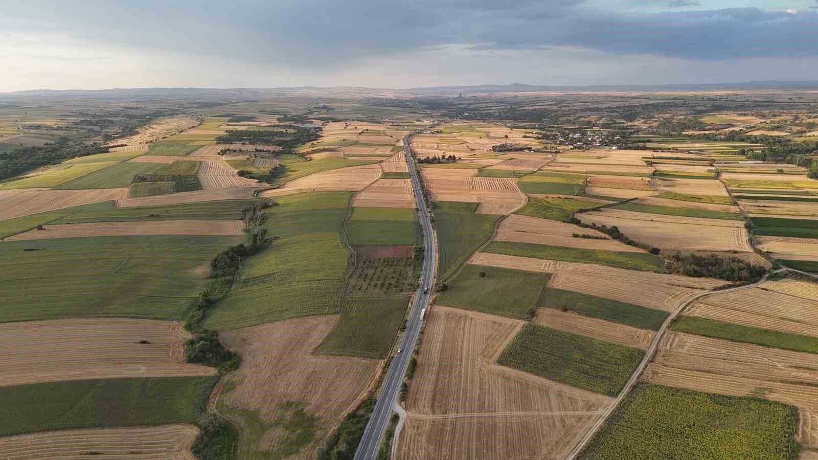 Edirne’de yağmur ayçiçeğinin yüzünü güldürdü 6 edirnede yagmur ayciceginin yuzunu guldurdu 2
