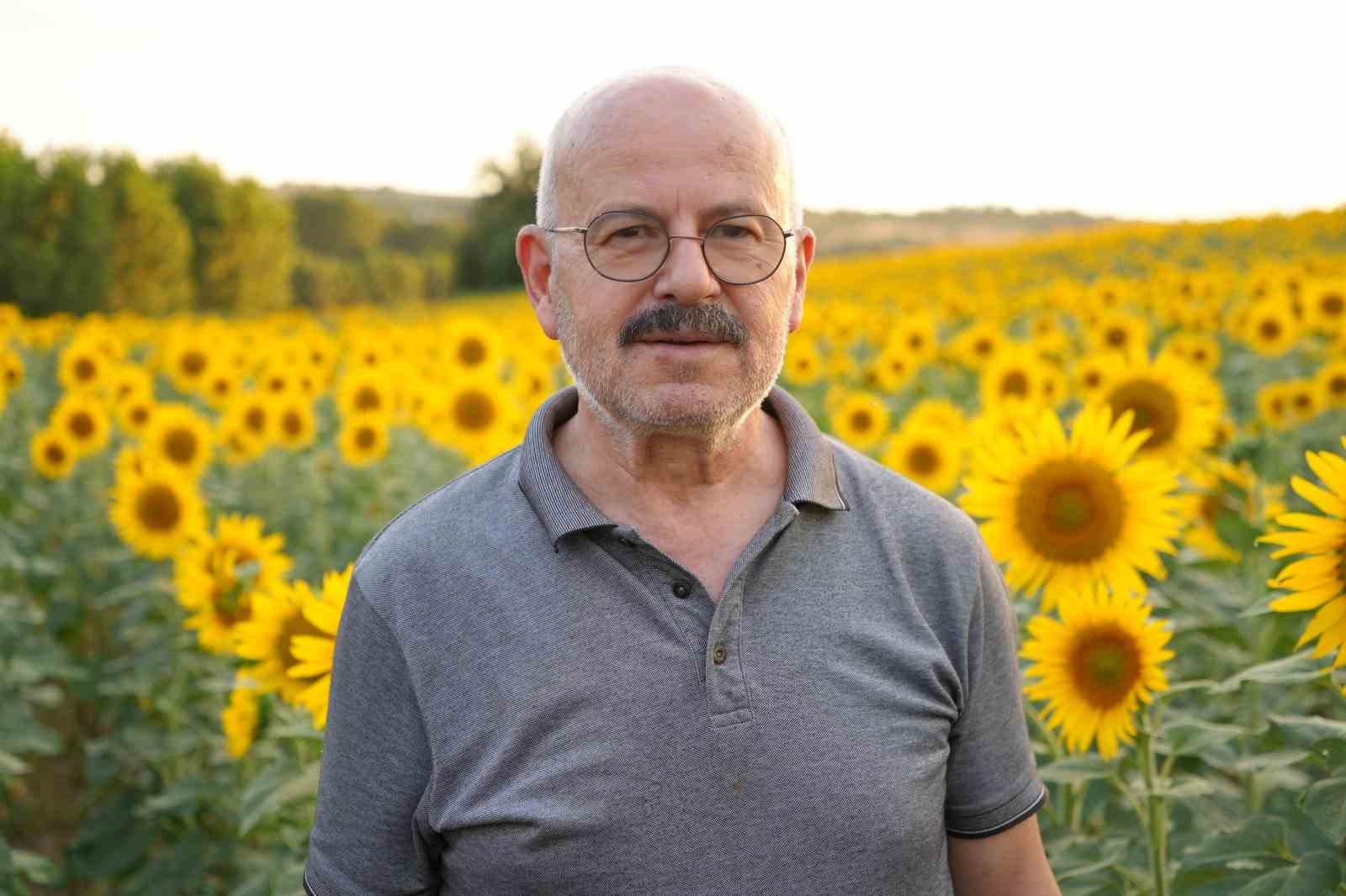 Edirne’de yağmur ayçiçeğinin yüzünü güldürdü 8 edirnede yagmur ayciceginin yuzunu guldurdu 4 IInBbhlW