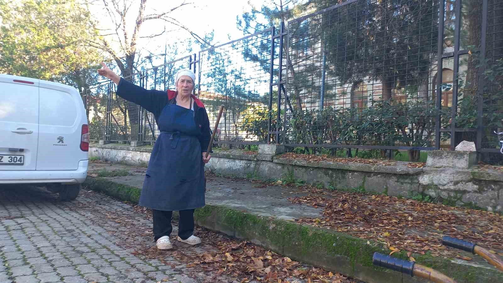edirnede yasli kadin 34 yildir sonbaharda dusen yapraklari gubreye donusturuyor 3 NR8m2Qs3