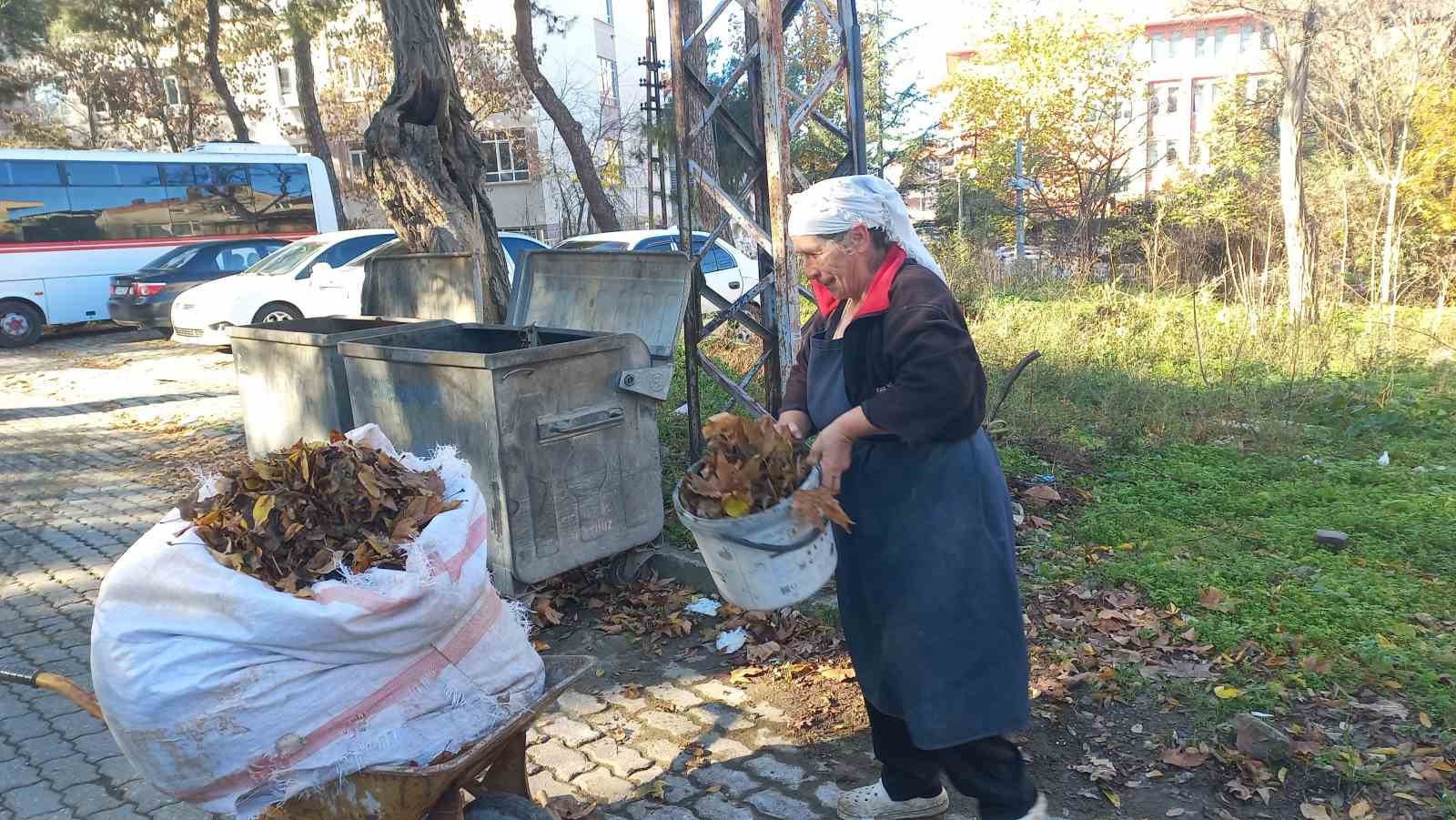 edirnede yasli kadin 34 yildir sonbaharda dusen yapraklari gubreye donusturuyor 5 LfcIZfp7