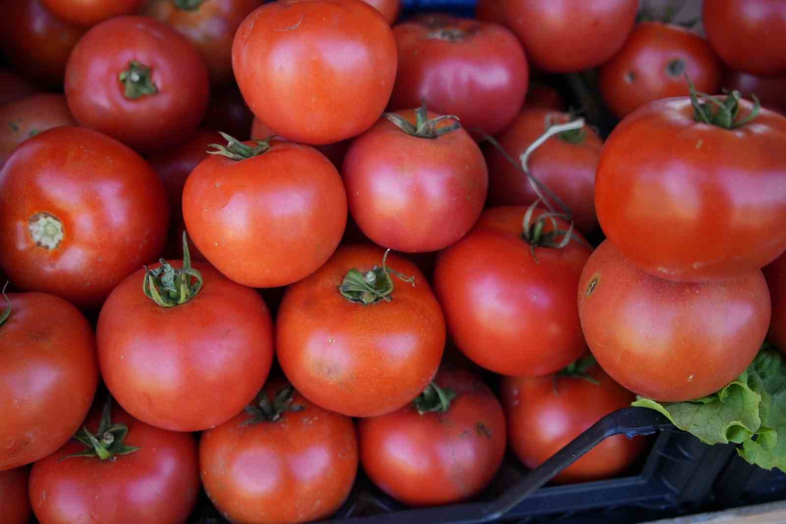 edirneli ureticiler ata tohumundan urettikleri urunleri millet bahcesinde satisa sunuyor 3 42EXuB2G