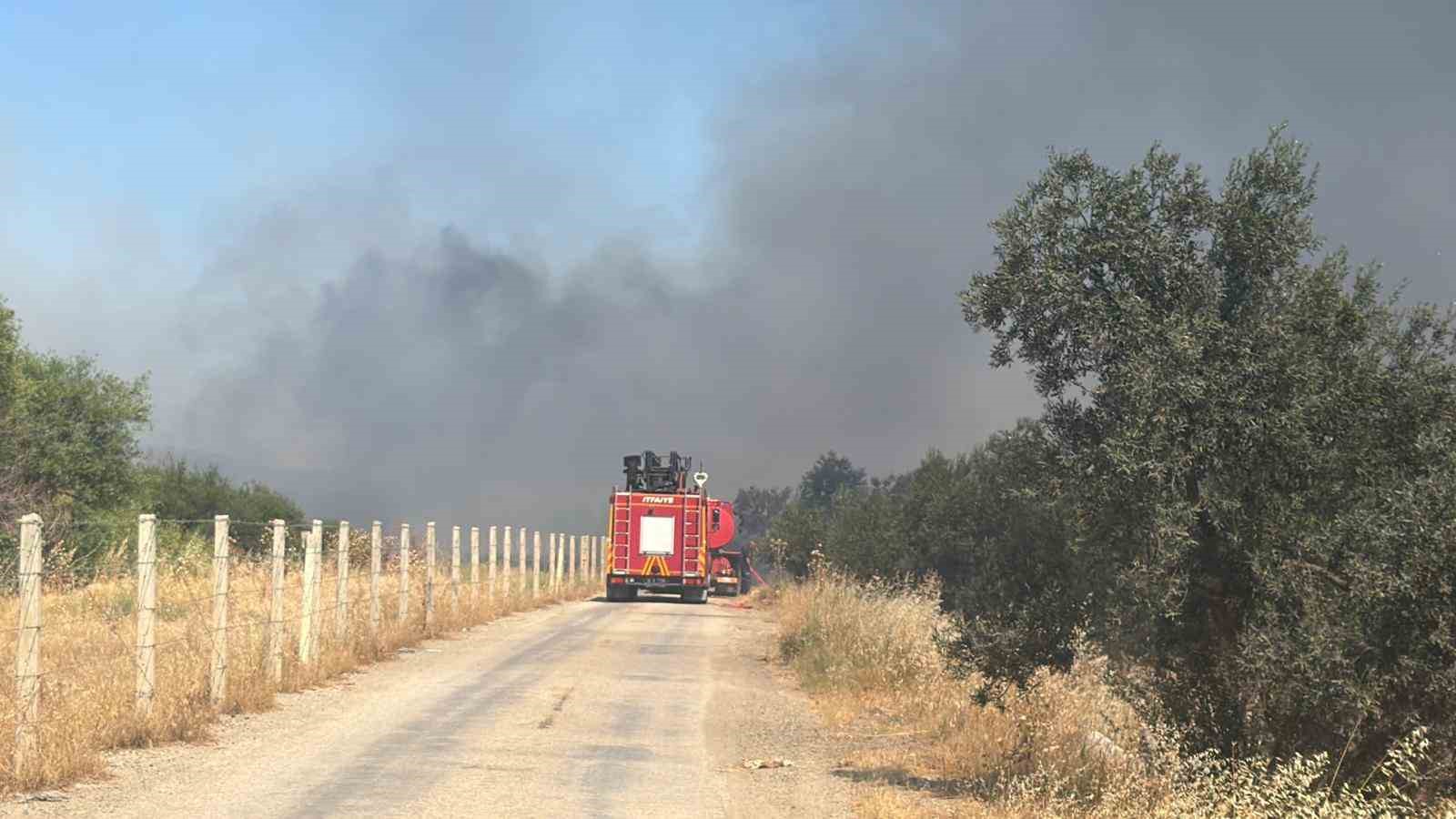 edremitte eski cop depolama alaninda cikan yangin zeytinliklere sicradi 3 24iNHDGT