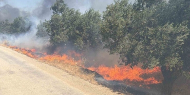 edremitte-eski-cop-depolama-alaninda-cikan-yangin-zeytinliklere-sicradi-fh2bhJ65.jpg