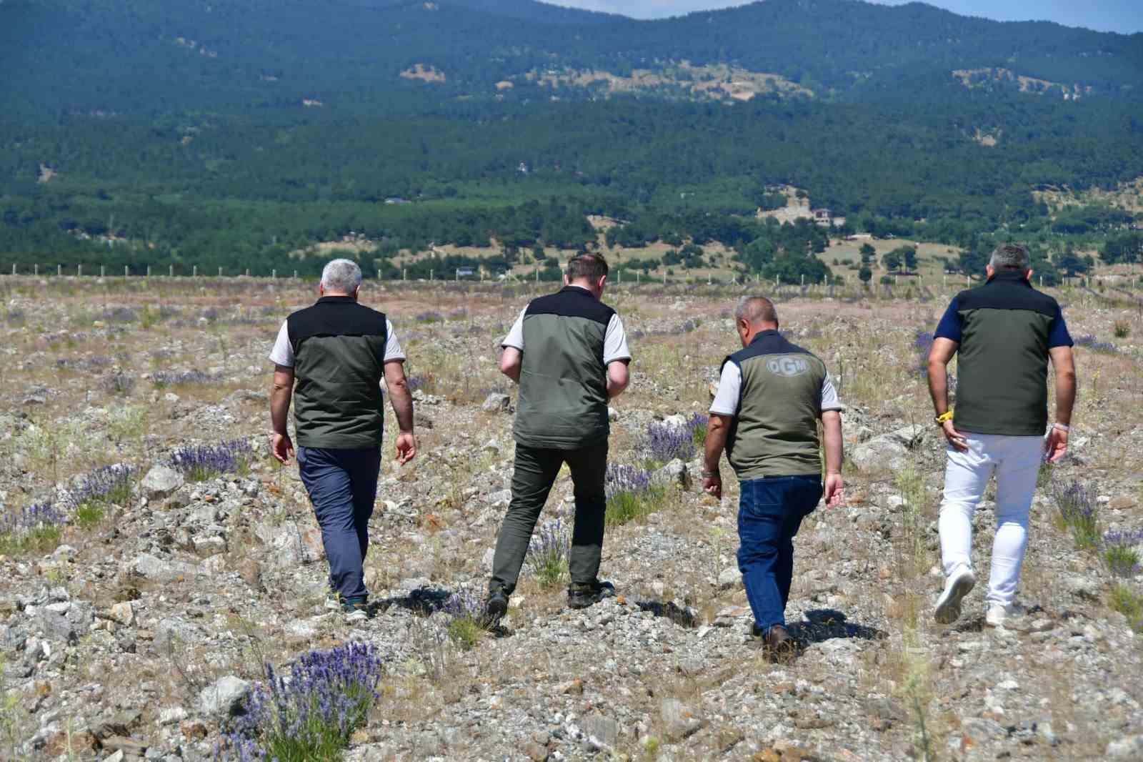 edremitte eski maden sahasi lavanta kokulu bal ormanina donustu 4 BOmLj3HR