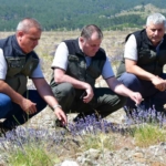 edremitte-eski-maden-sahasi-lavanta-kokulu-bal-ormanina-donustu-TGMWYk8b.jpg
