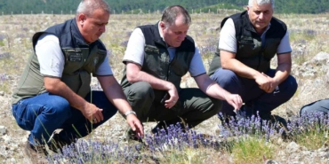 edremitte-eski-maden-sahasi-lavanta-kokulu-bal-ormanina-donustu-TGMWYk8b.jpg