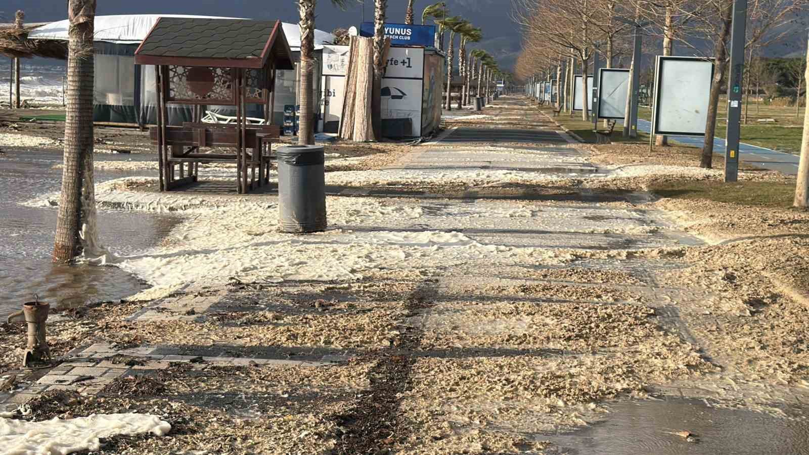 edremitte lodos sahili kopukle kapladi 6 OLLa6NQ1