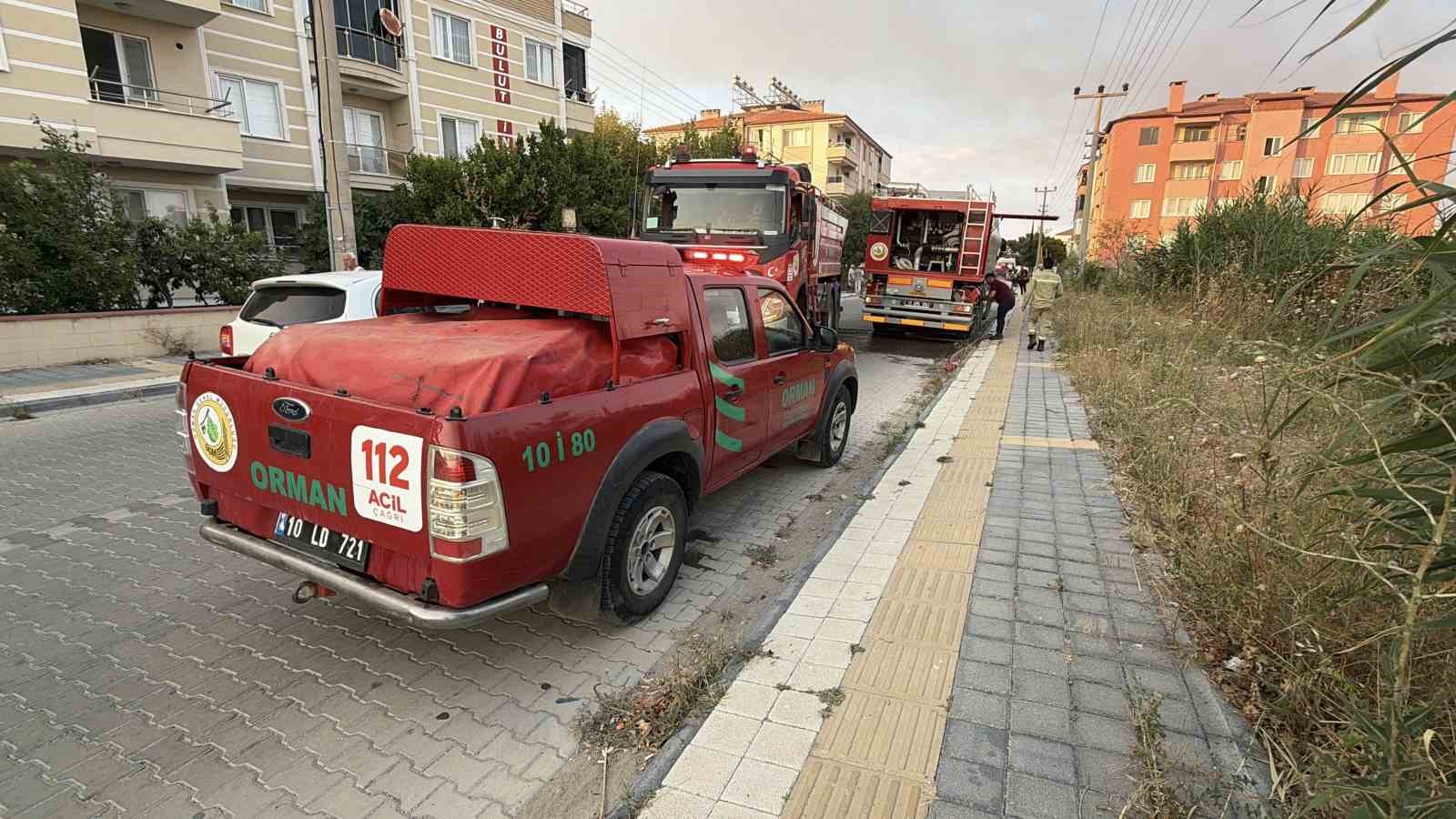 Edremit’te sazlık alanda yangın 9 edremitte sazlik alanda yangin 5 JaqWf6wr
