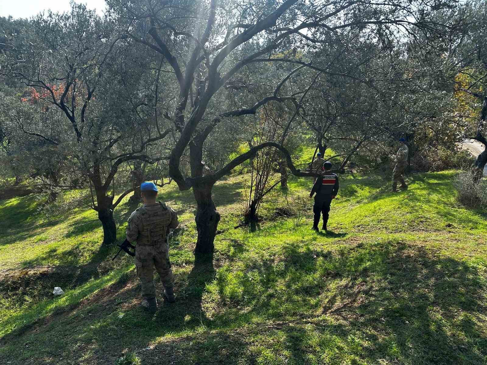 edremitte zeytin hirsizligina karsi komandolar sahada 0
