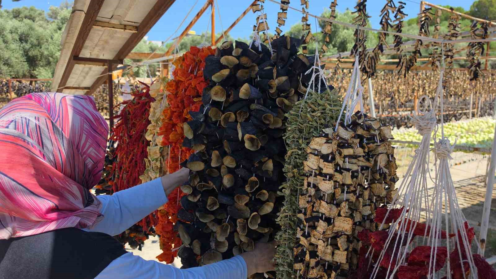 Ege’nin ’Patlıcan Vadisi’nden tüm dünya sofralarına 4 egenin patlican vadisinden tum dunya sofralarina 0 OqIBdFDN