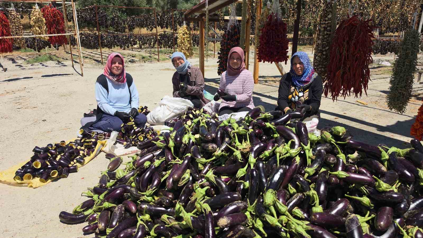 Ege’nin ’Patlıcan Vadisi’nden tüm dünya sofralarına 5 egenin patlican vadisinden tum dunya sofralarina 1