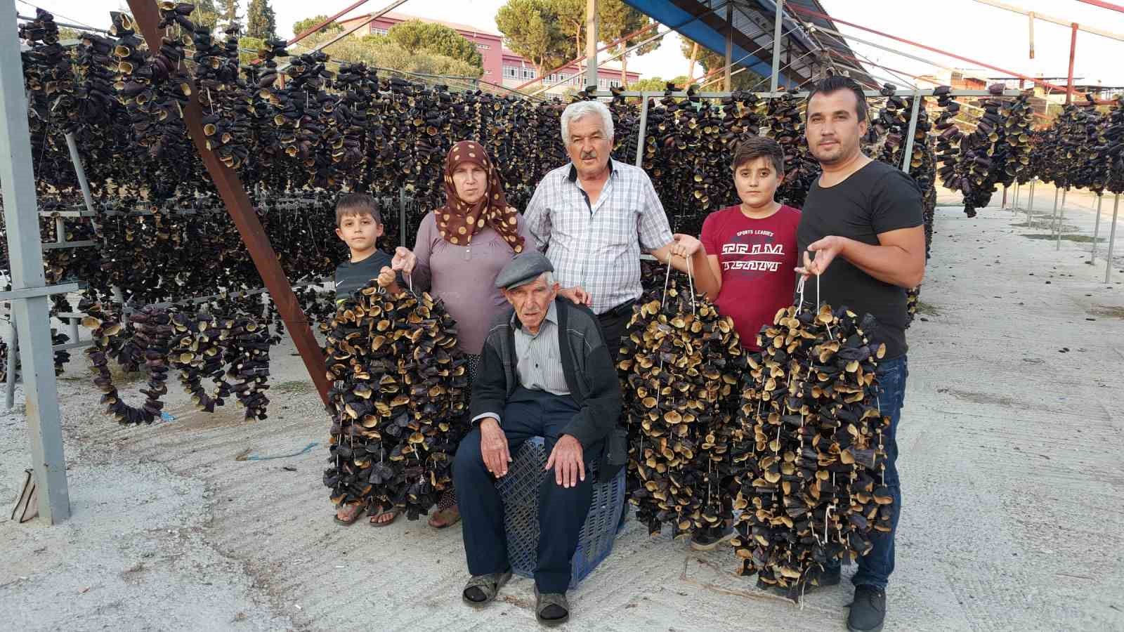Ege’nin ’Patlıcan Vadisi’nden tüm dünya sofralarına 9 egenin patlican vadisinden tum dunya sofralarina 5