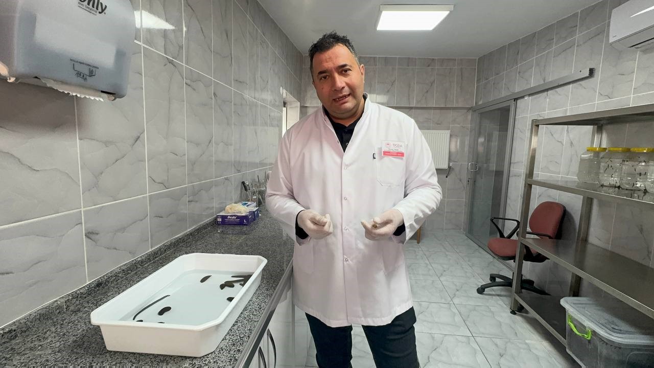 egirdirde yilda 20 bin tibbi suluk kontrollu ortamda uretiliyor 1 zr2PjP2E