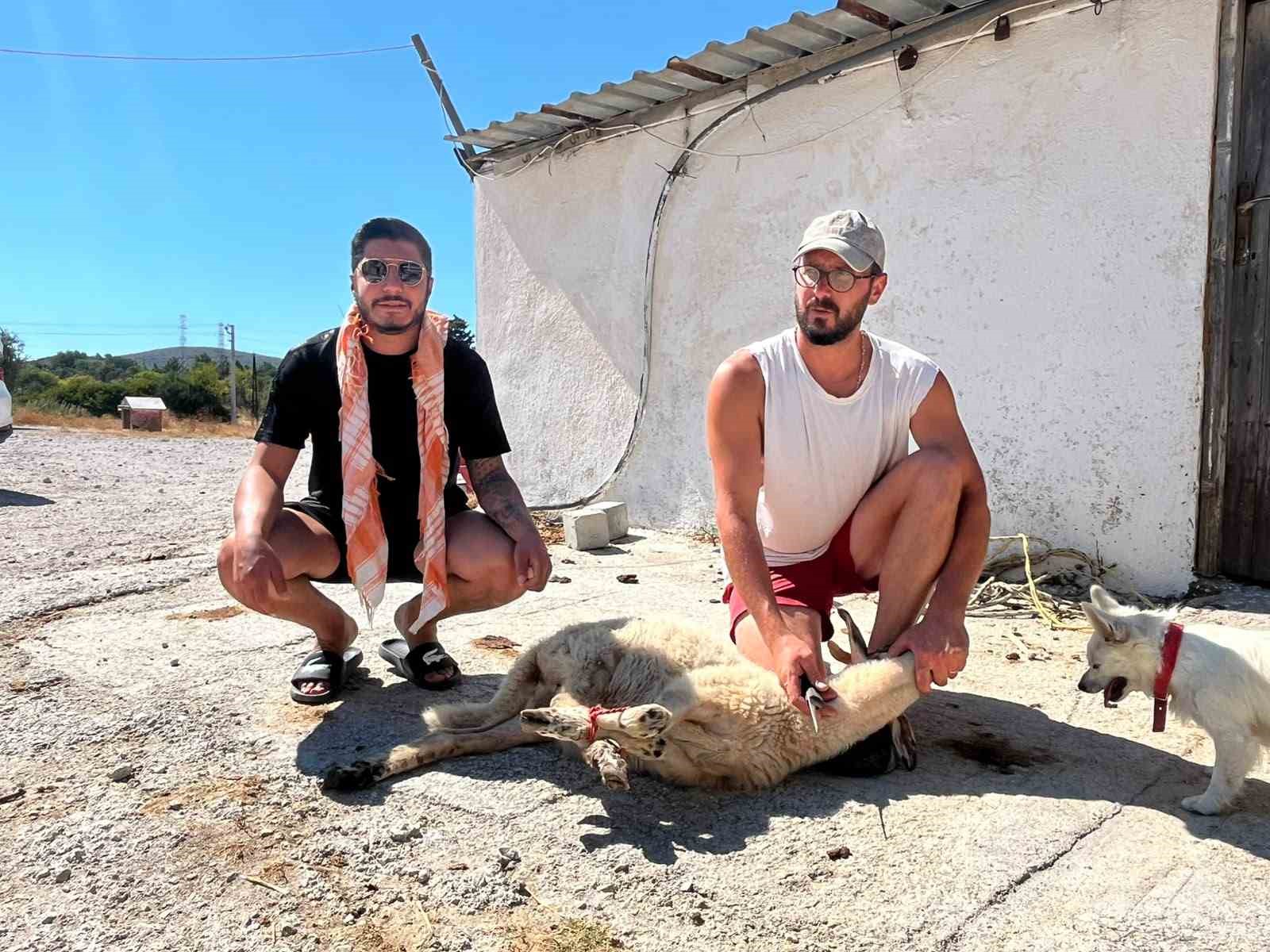 ehliyetine 5 yil sonra kavustu sevincini kurban keserek kutladi 1 kh9Znq6F