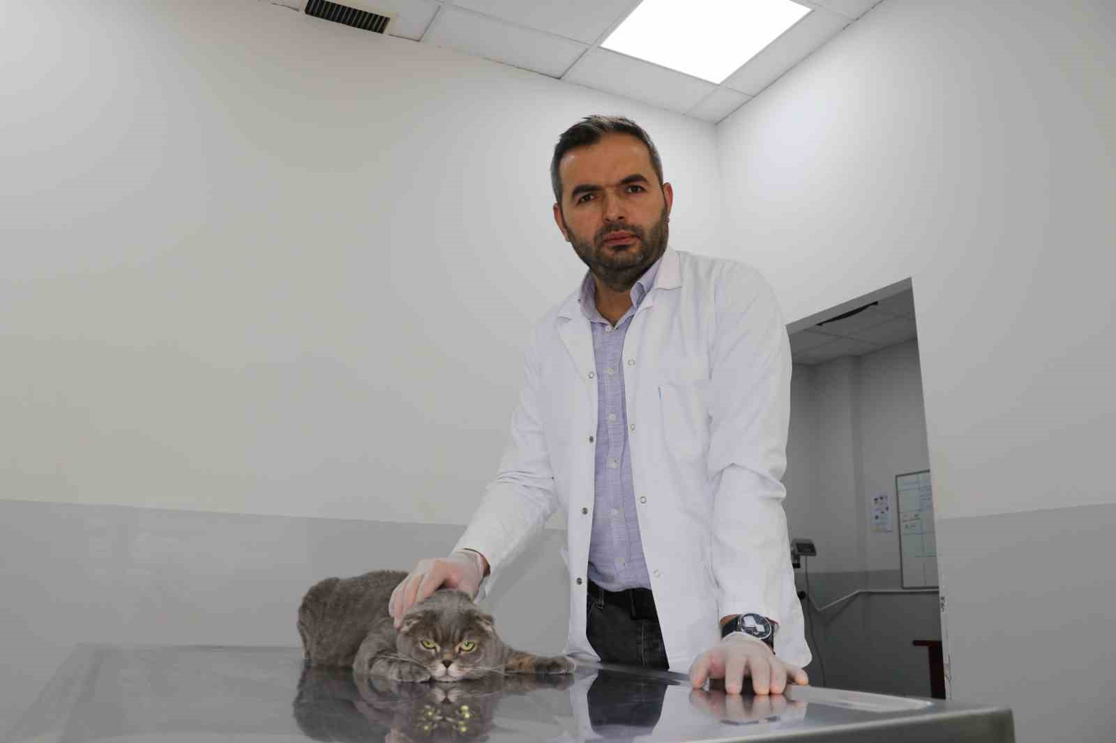 ekmek kavgasi bitti kedi ve kopekler dost oldu 0 4eqYvqKM