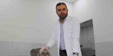 ekmek-kavgasi-bitti-kedi-ve-kopekler-dost-oldu-8RHssH9c.jpg