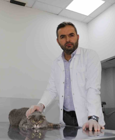 ekmek-kavgasi-bitti-kedi-ve-kopekler-dost-oldu-8RHssH9c.jpg