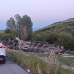 ekmek-yuklu-tir-sarampole-devrildi-9B6UAyGC.jpg