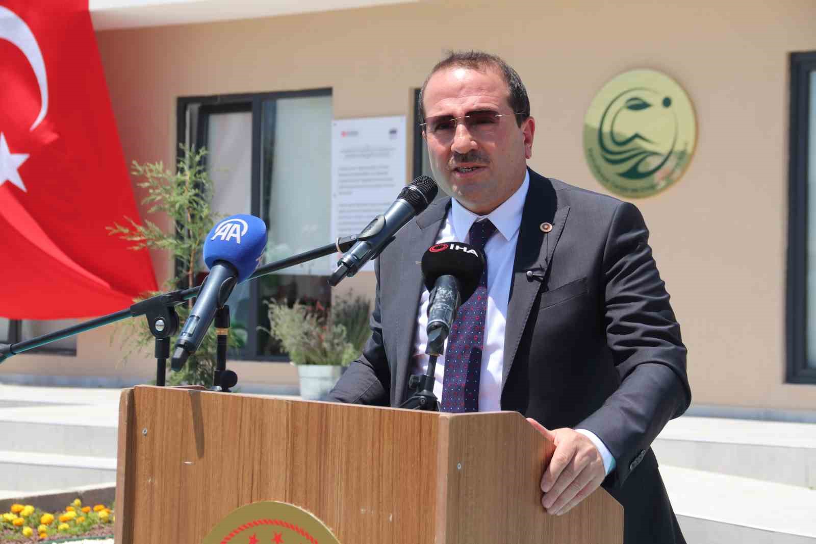Ekrandan toprağa: İzmir’de gençler için ’Doğal Yaşam Köyü’ kuruldu 9 ekrandan topraga izmirde gencler icin dogal yasam koyu kuruldu 5 A37CYsUR