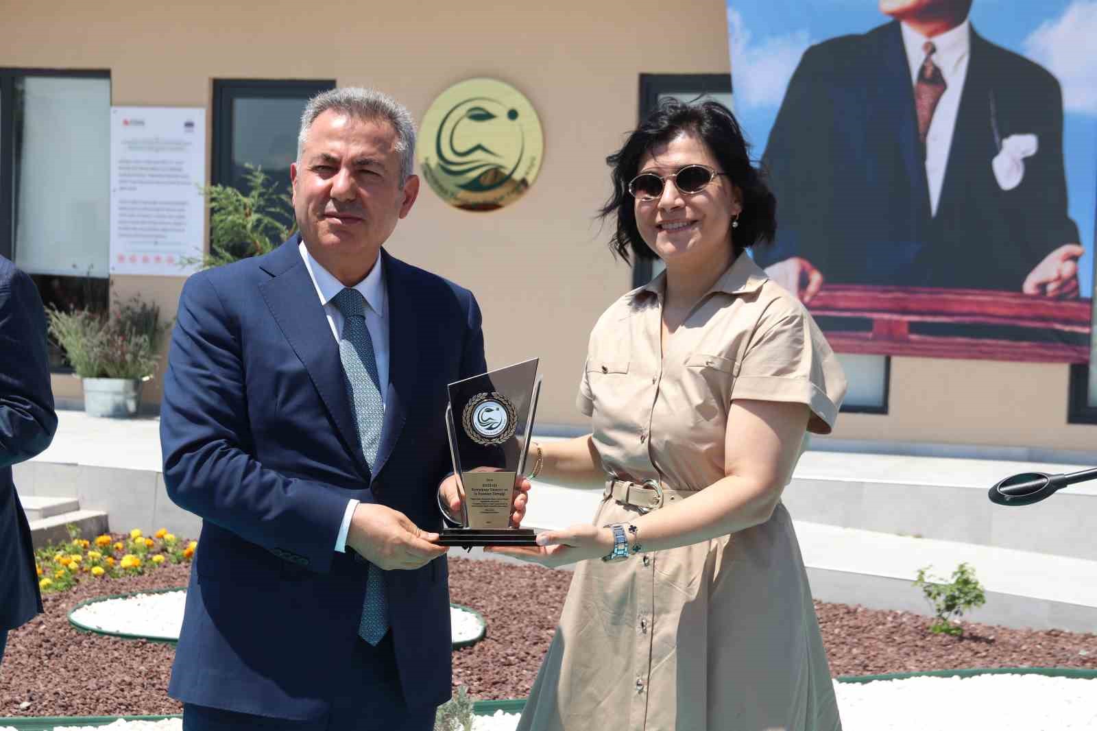Ekrandan toprağa: İzmir’de gençler için ’Doğal Yaşam Köyü’ kuruldu 11 ekrandan topraga izmirde gencler icin dogal yasam koyu kuruldu 7 72CvwtcF