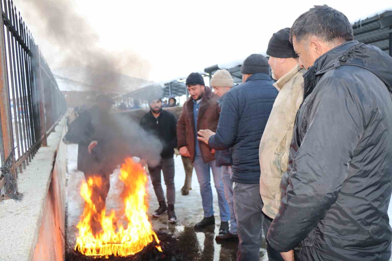 eksi 15de hayvan pazari kuruldu 3 OUhPgyr6