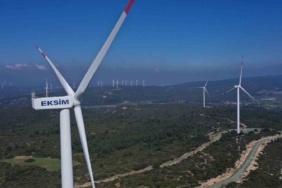 Adana’da erkenci kayısı hasadı başladı: Bahçede kilogramı 60-80 TL 1 thumbnail