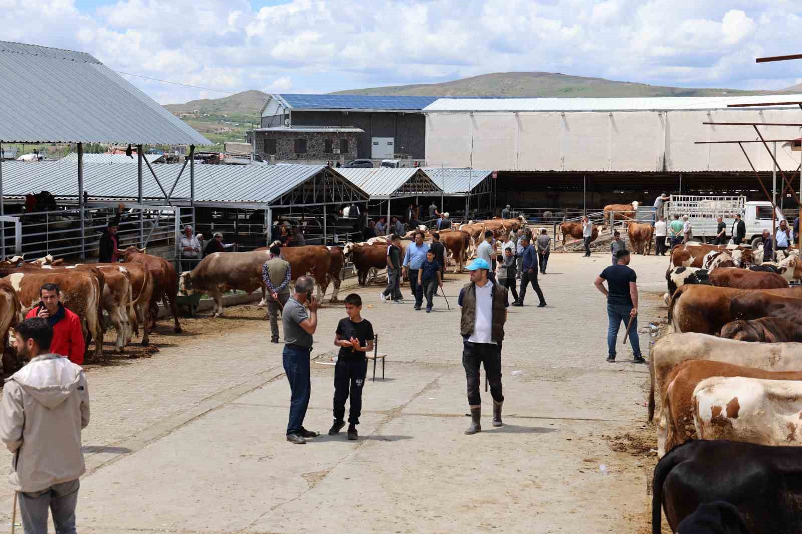 elazig hayvan pazarinda arife gunu yogunlugu 9 47XFilEk