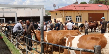 elazig-hayvan-pazarinda-arife-gunu-yogunlugu-lagVUkIG.jpg