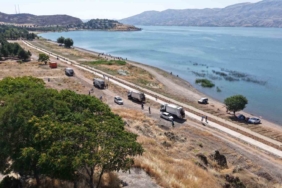 Sivas’ta anne ayı ve yavrusu cep telefonu kamerasıyla görüntülendi 3 thumbnail