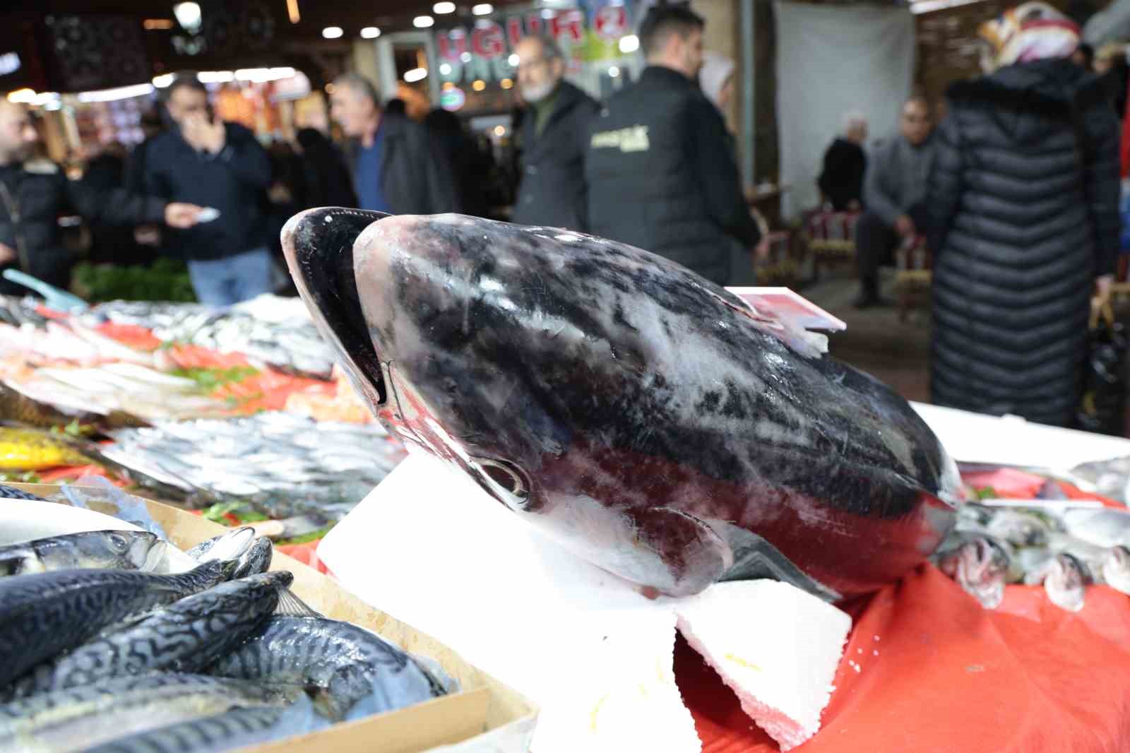 elazig kapali carsida 85 kiloluk orkinos tezgaha indi 2 UXv9ayP6