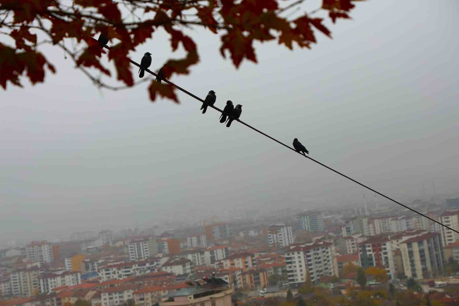 elazigda 200 metreden sehir sis icinde kayboldu 3