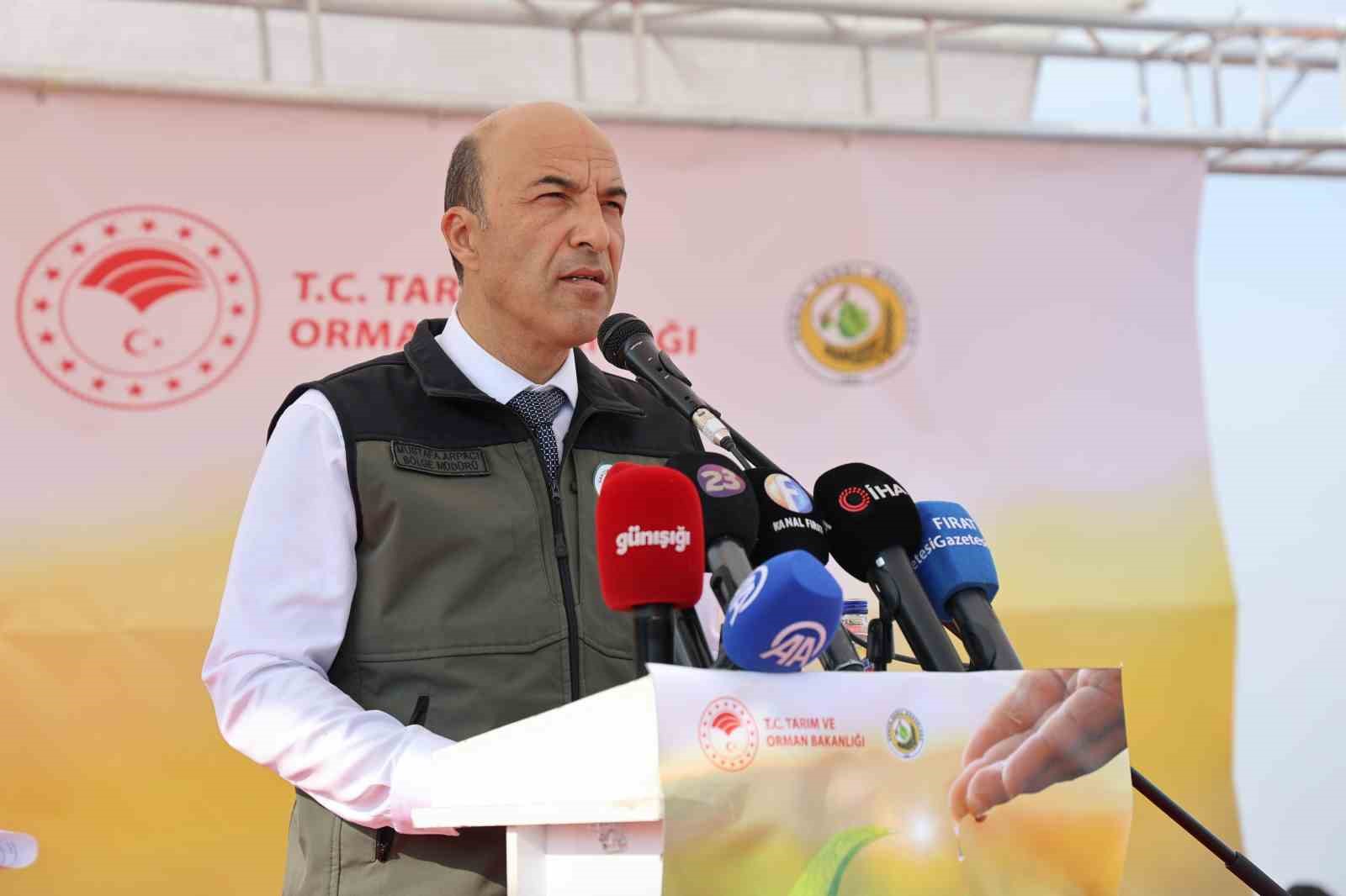 elazigda 23 bin 650 fidan toprakla bulustu 5 WmHdpnpW