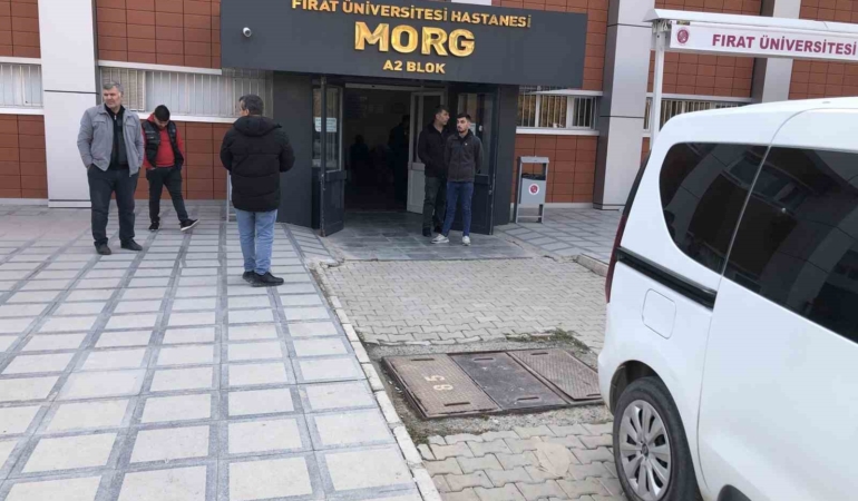 elazigda-3-cocuk-annesi-kadin-kocasi-tarafindan-olduruldu-jPHxnvNO.jpg