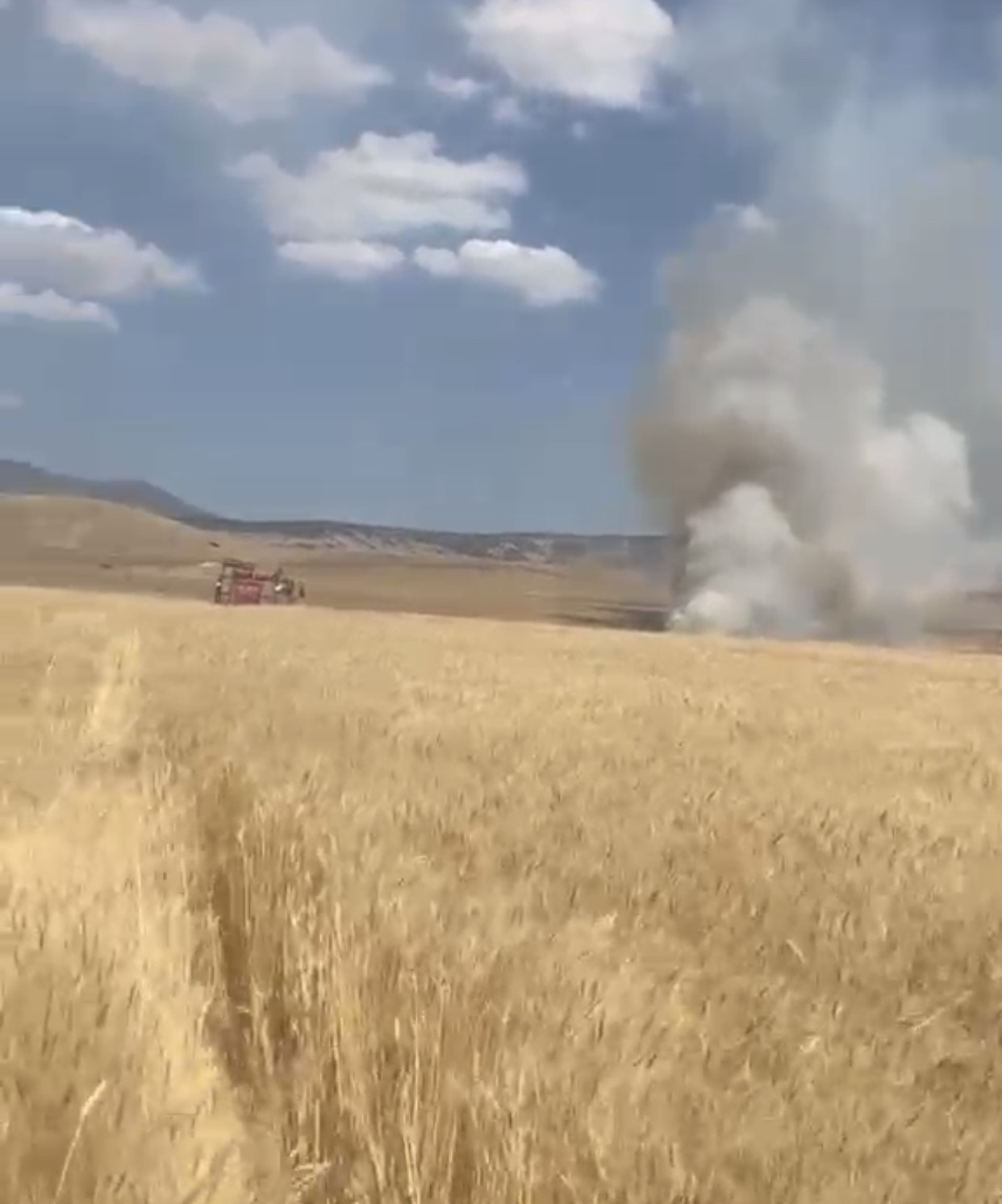 Elazığ’da 35 dönüm ekili alan küle döndü 4 elazigda 35 donum ekili alan kule dondu 0 brKcylRl
