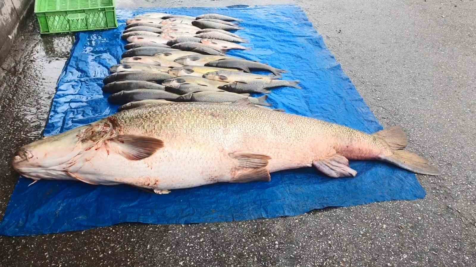 elazigda 52 kilogram agirliginda turna yakalandi 0 gUaWLOKm