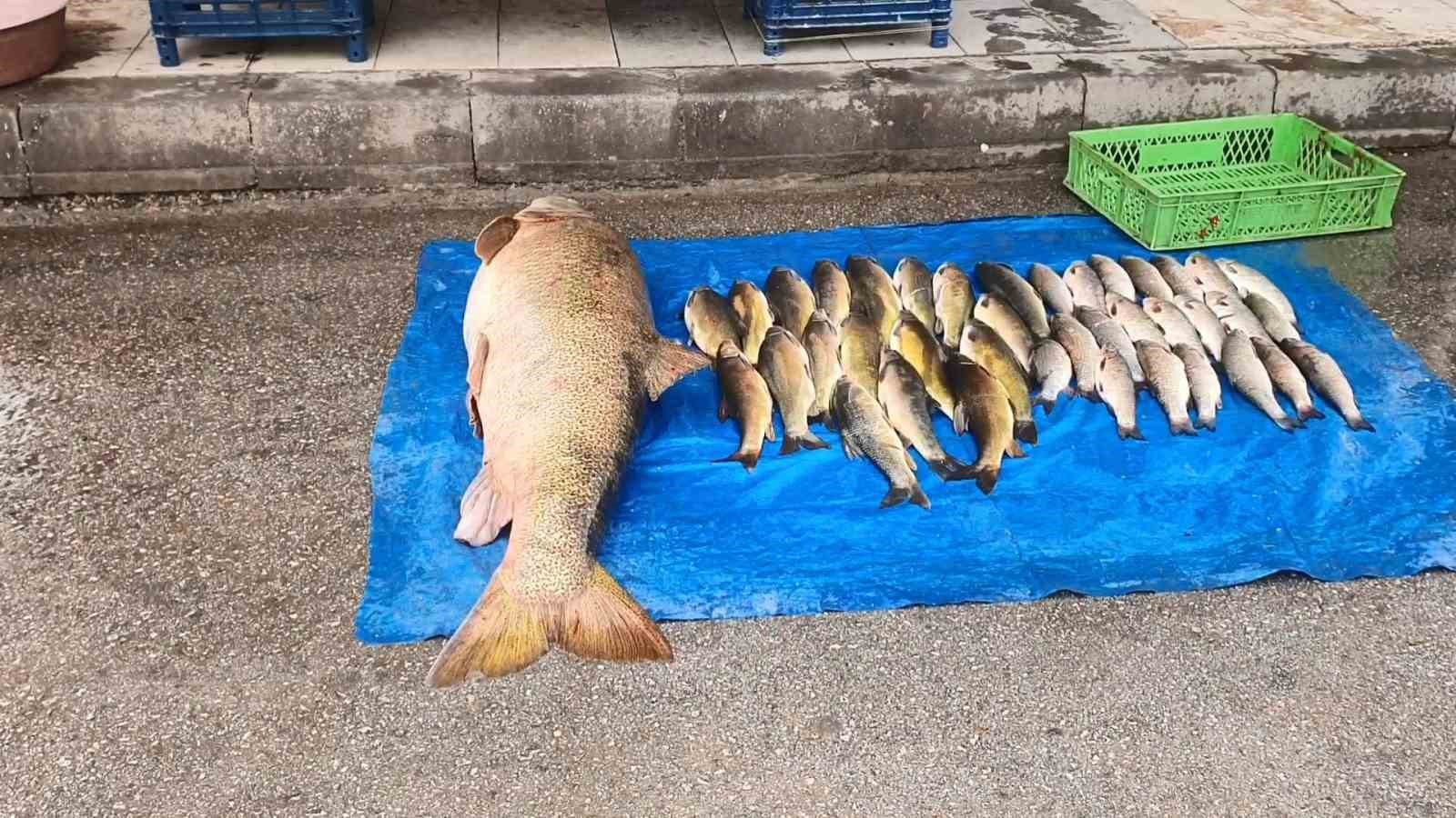elazigda 52 kilogram agirliginda turna yakalandi 1 PWFhpk5V