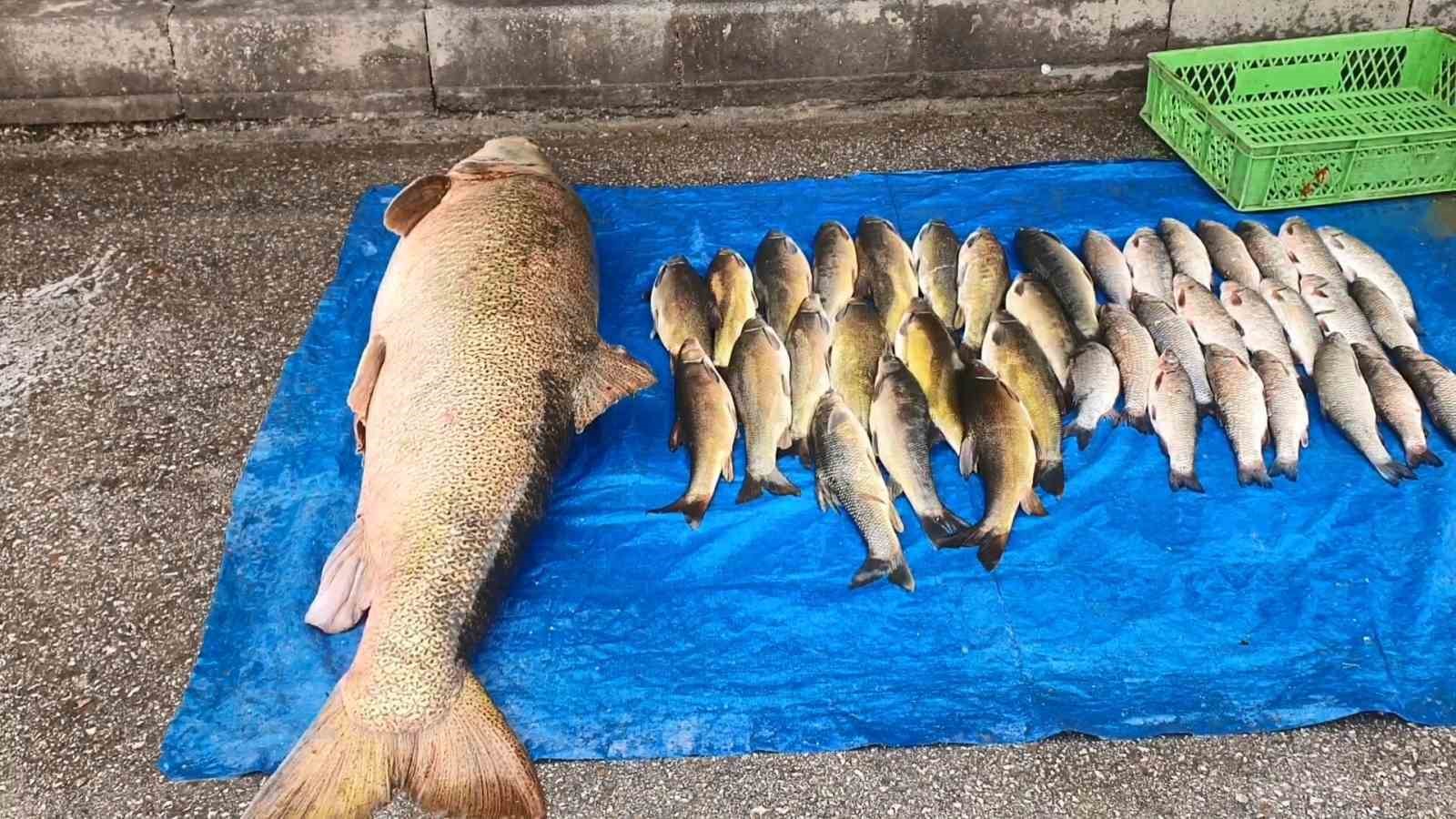 elazigda 52 kilogram agirliginda turna yakalandi 2